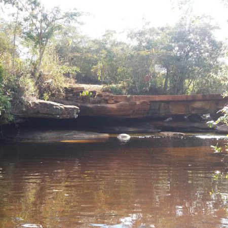 fonte: Iara Pereira, outubro de 2019